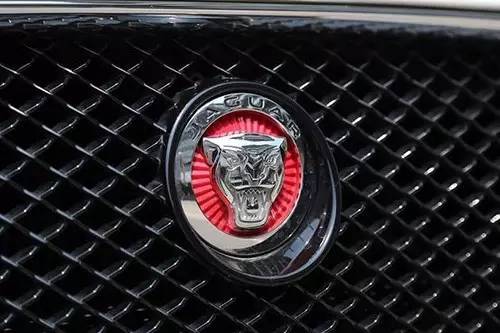 車標(biāo)上的動物都是啥來頭？看完又能出去裝X了
