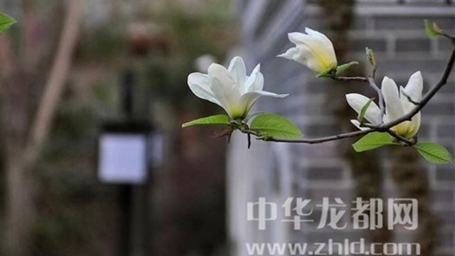 淮陽蓮舍，多了一份味道
