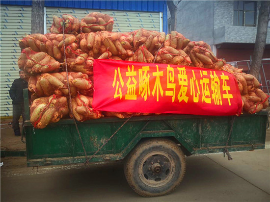 ＂愛(ài)心蘿卜＂來(lái)了！
