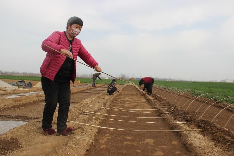 疫情防控、春耕生產(chǎn)兩手抓