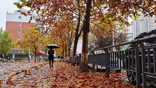 雨中周口，別有一番韻味