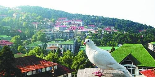  有著“云中山城”之稱的牯嶺鎮(zhèn)面臨著遷民下山。